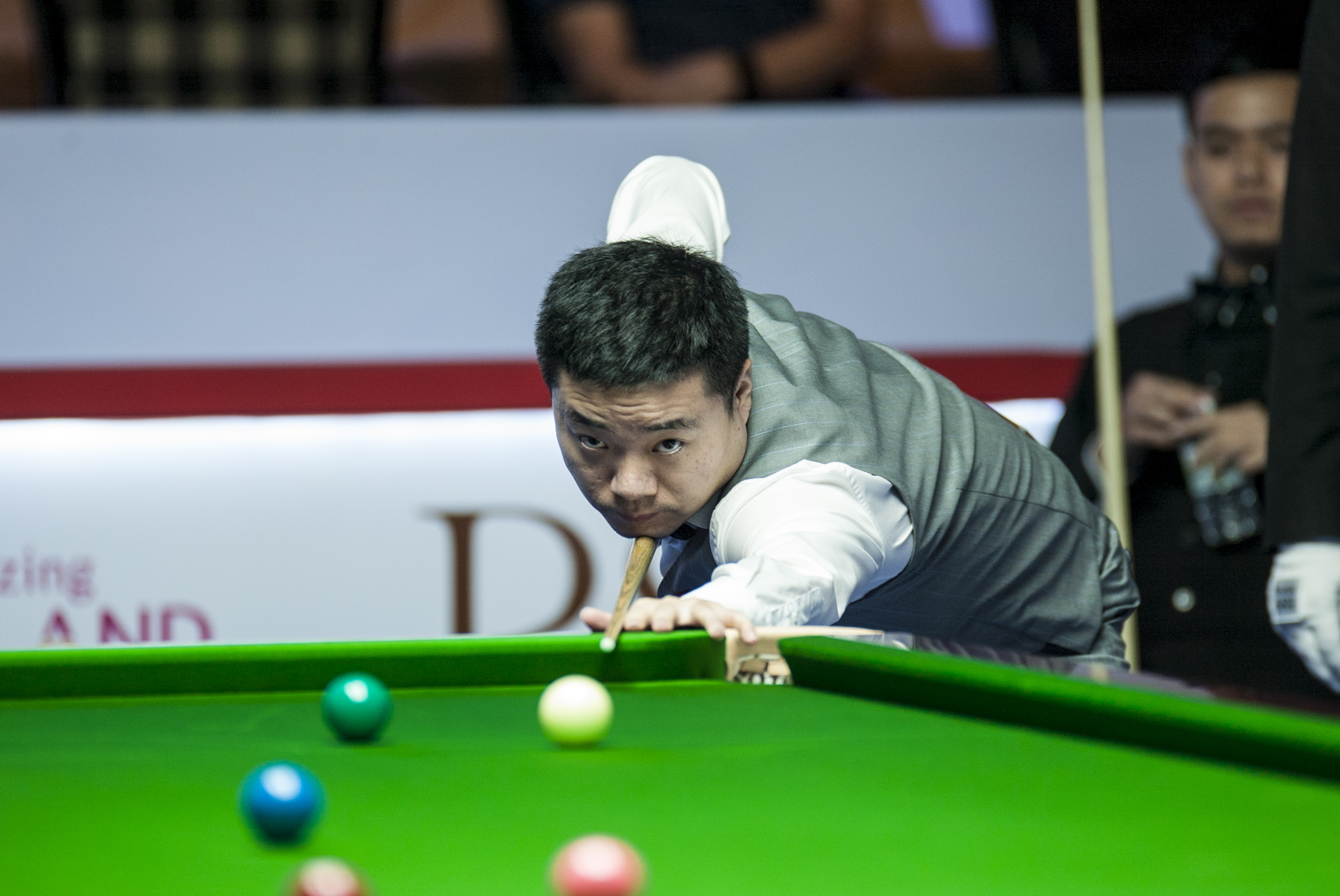 能应对经济 能应对经济