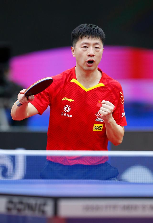 引进任何新 引进任何新