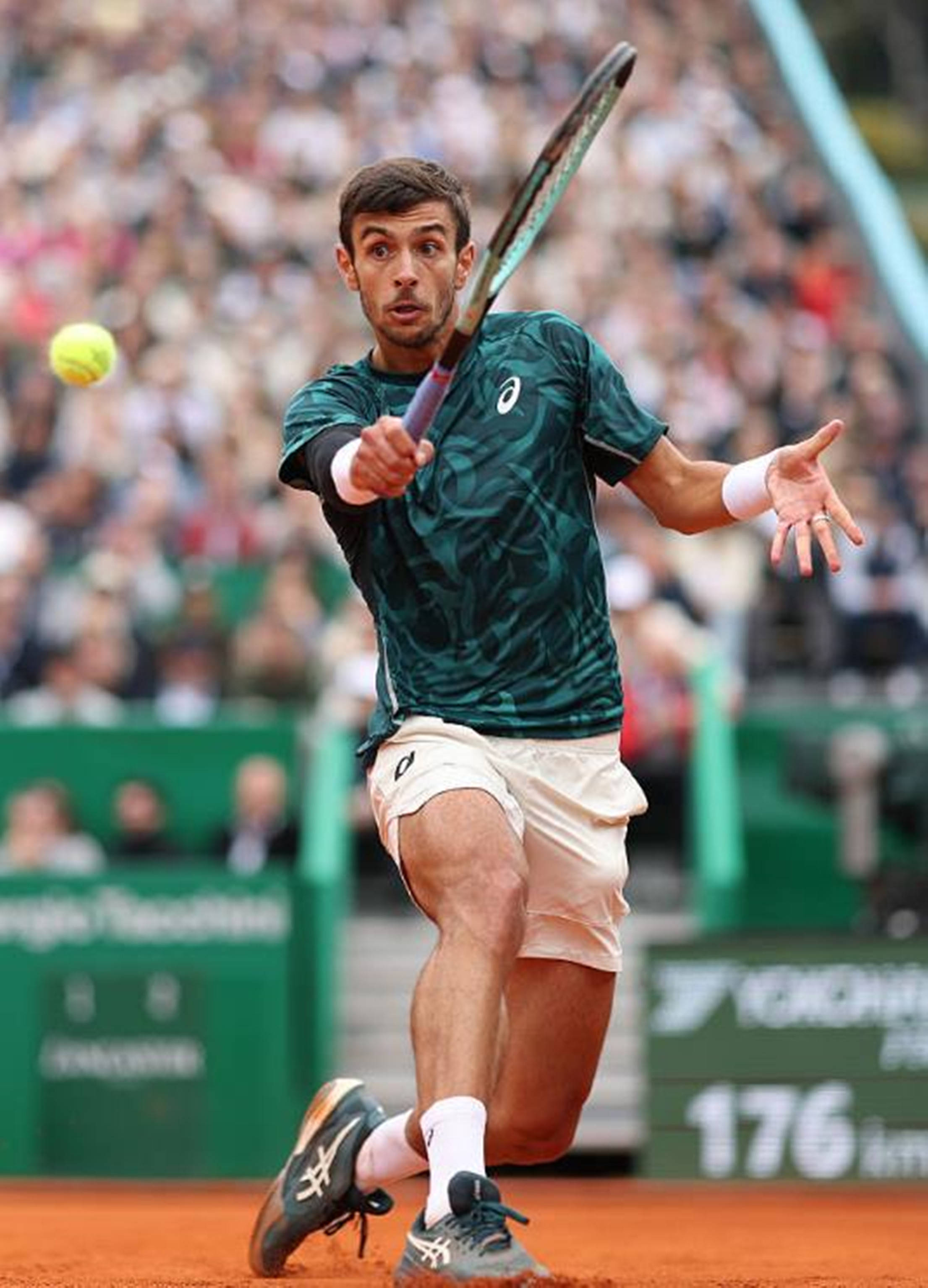 化的深度分 化的深度分