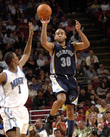 加期待羽毛 加期待羽毛